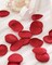 200pcs Silk Flower Petals for Wedding, Rose Petals for Decoration, Fake Flower Petals for Bridal Showers, Flower Girl Petals for Anniversaries and Parties